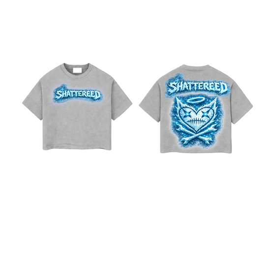 SHATTERED-FROZEN ERROR | GRAY